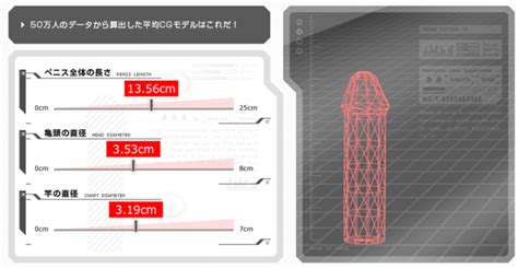 チンコの平均サイズは何cm？デカチンかどうかの長。